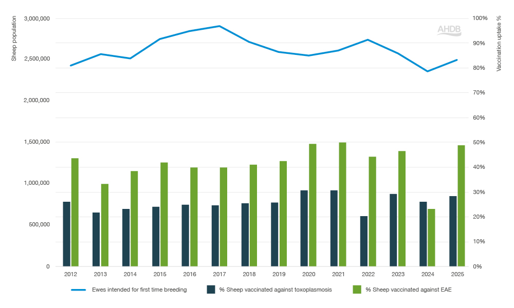 Bar and line chart showing enzootic abortion and toxoplasmosis vaccination between 2012–2025.